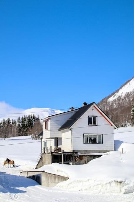 Holiday Home Among The Pearls Of Norway Stranda  Exterior photo
